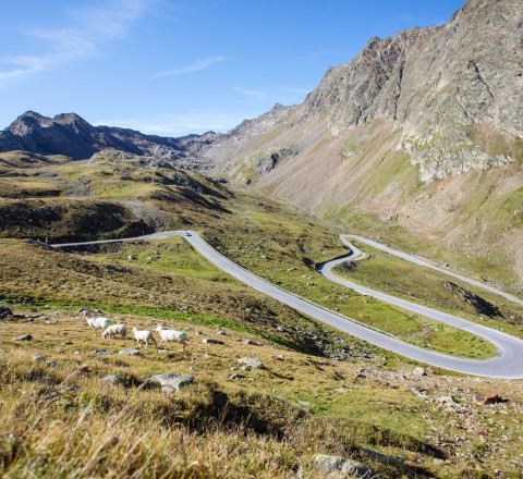 Passstraße Passstraße im Sommer