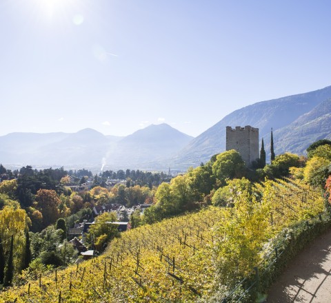 Pulverturm, Alex Filz Wunderschöne Aussicht auf den Pulverturm, Meran