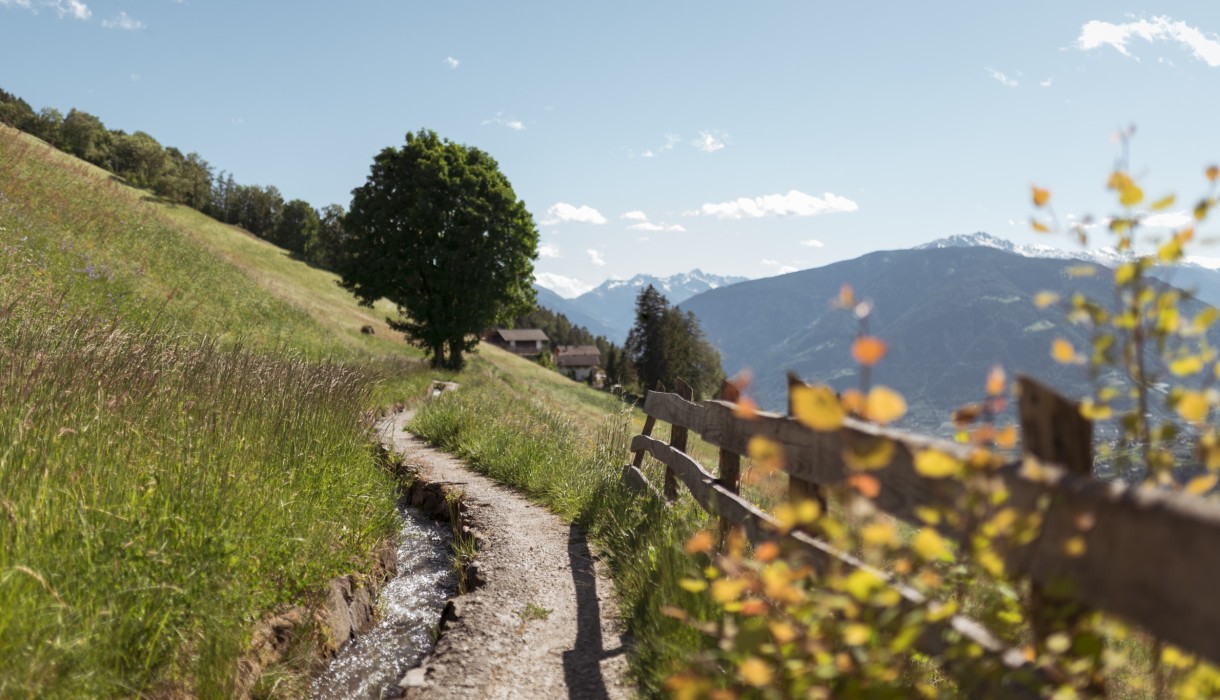 Schenner Waalweg, Schwienbacher Patrick Fußweg am Schenner Waalweg, Schwienbacher Patrick