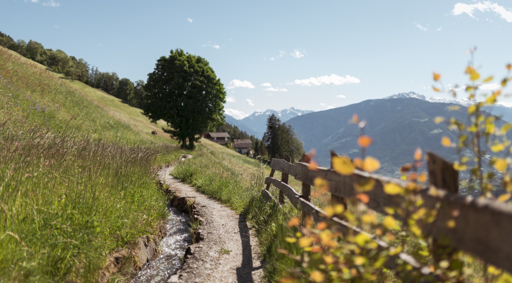 Fußweg am Schenner Waalweg, Schwienbacher Patrick
