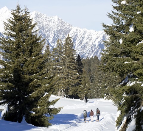 Schneewanderung Südtirol Wunderschöne Schneewanderungen in den Bergen von Südtirol