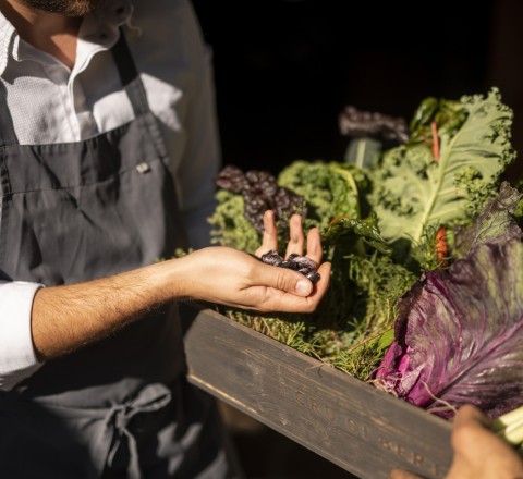 Markt Südtirol Südtiroler Märkte mit regionalen Produkten