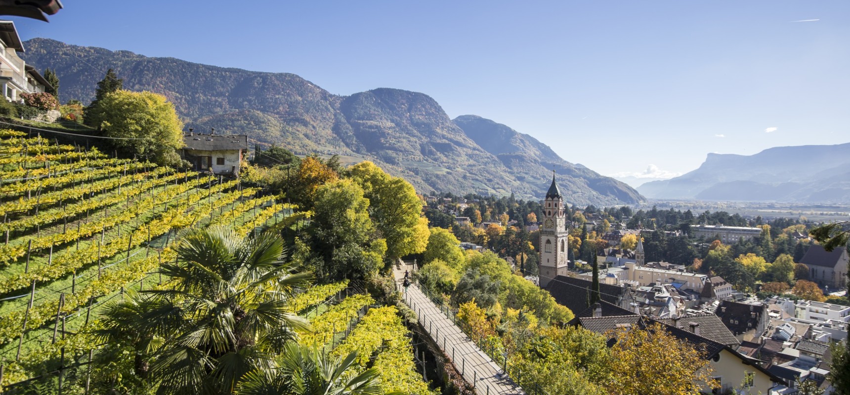 Panorama Meran Aussicht auf den Tappeinerweg, Panorama, Meran