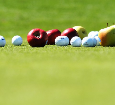 Detailbild Golfclub Lana, Südtirol