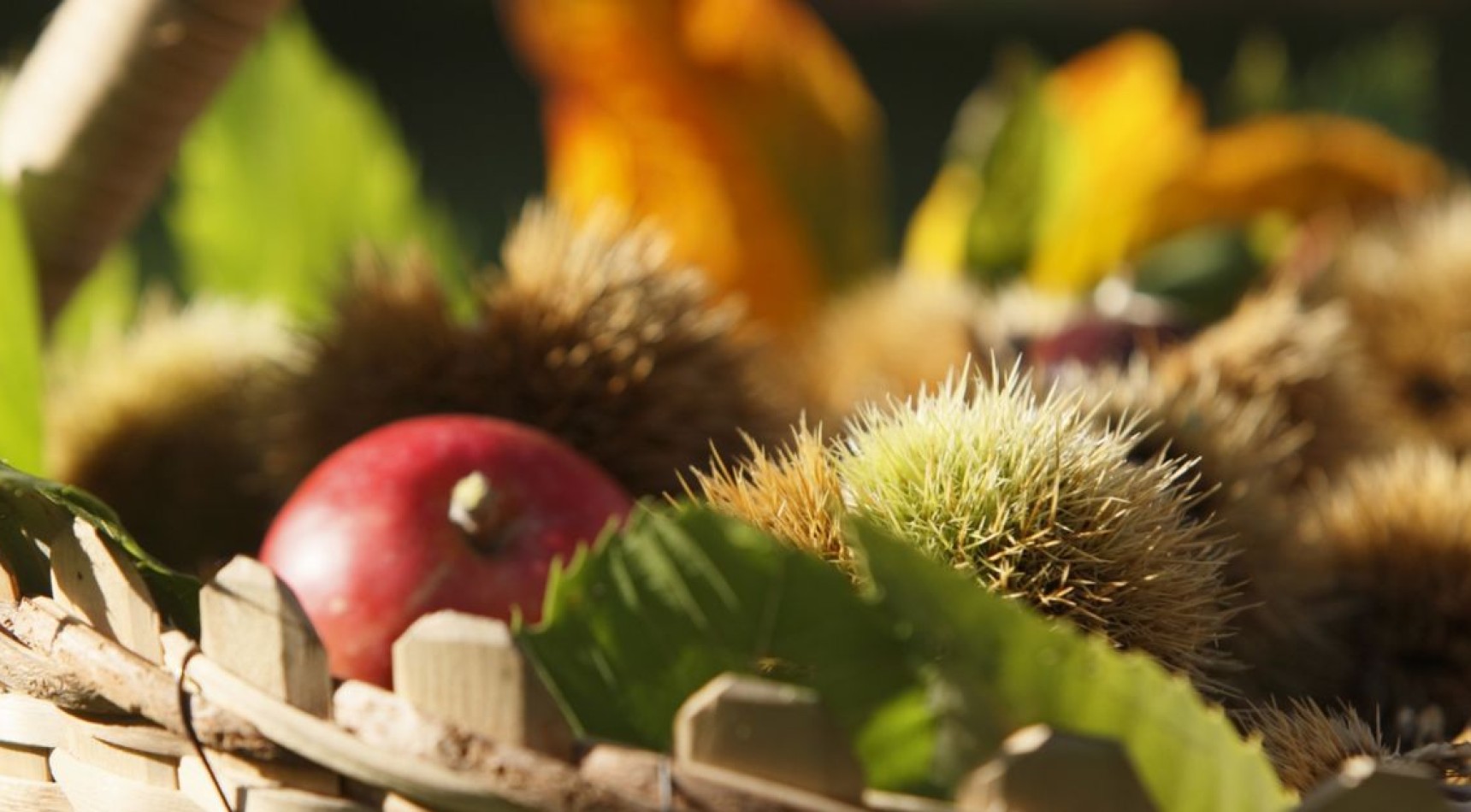 Herbst in Meran & Umgebung - Törggelezeit, Kastanien, Äpfel usw. Herbst in Meran & Umgebung: Törggelezeit, köstliche Kastanien, frische Äpfel und mehr in idyllischer Atmosphäre