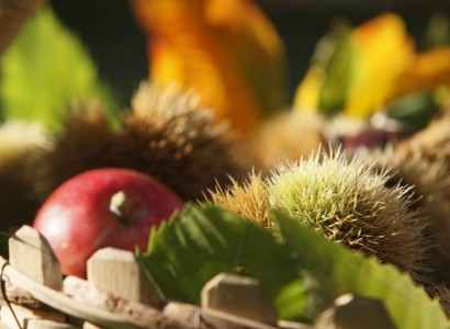 Herbst in Meran & Umgebung: Törggelezeit, köstliche Kastanien, frische Äpfel und mehr in idyllischer Atmosphäre