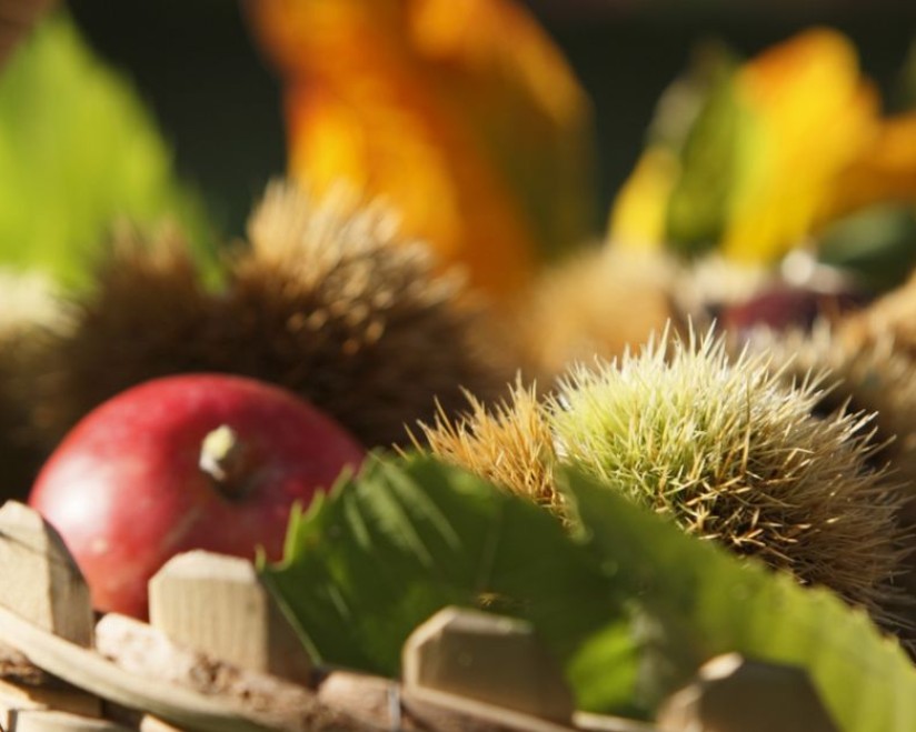 Herbst in Meran & Umgebung - Törggelezeit, Kastanien, Äpfel usw. Herbst in Meran & Umgebung: Törggelezeit, köstliche Kastanien, frische Äpfel und mehr in idyllischer Atmosphäre